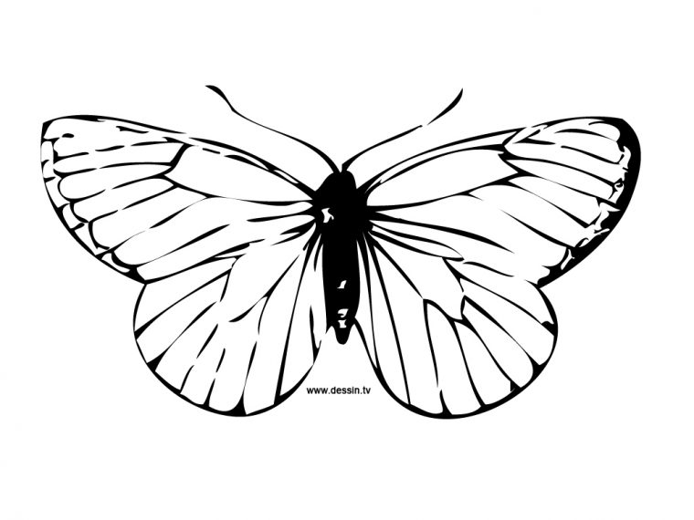 110 Dessins De Coloriage Papillon À Imprimer Sur Laguerche avec Papillon Dessin A Colorier