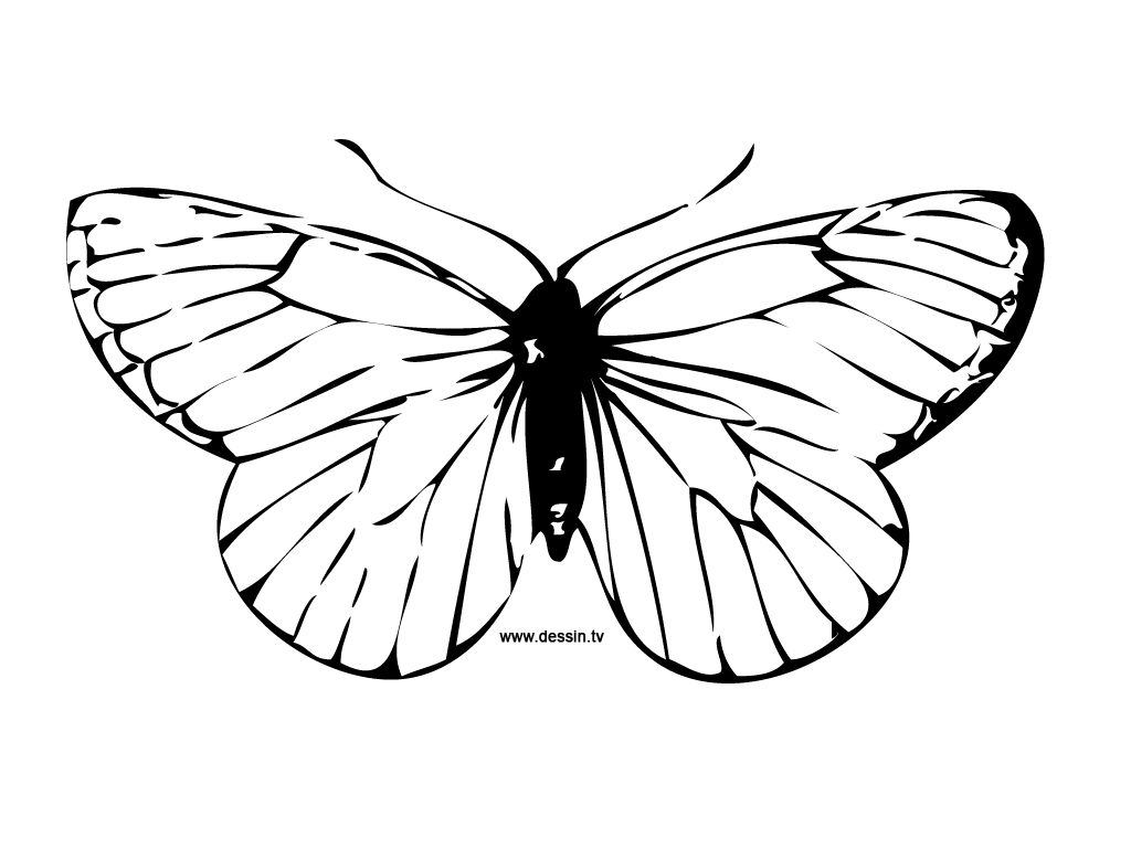 110 Dessins De Coloriage Papillon À Imprimer Sur Laguerche avec Papillon Dessin A Colorier