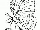 110 Dessins De Coloriage Papillon À Imprimer Sur Laguerche dedans Coloriage De Papillon