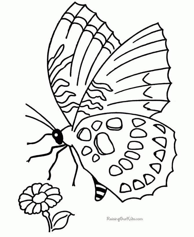 110 Dessins De Coloriage Papillon À Imprimer Sur Laguerche dedans Coloriage De Papillon