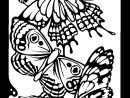 110 Dessins De Coloriage Papillon À Imprimer Sur Laguerche encequiconcerne Coloriage De Papillon