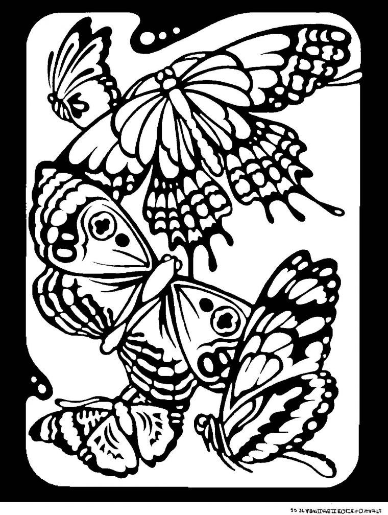 110 Dessins De Coloriage Papillon À Imprimer Sur Laguerche encequiconcerne Coloriage De Papillon