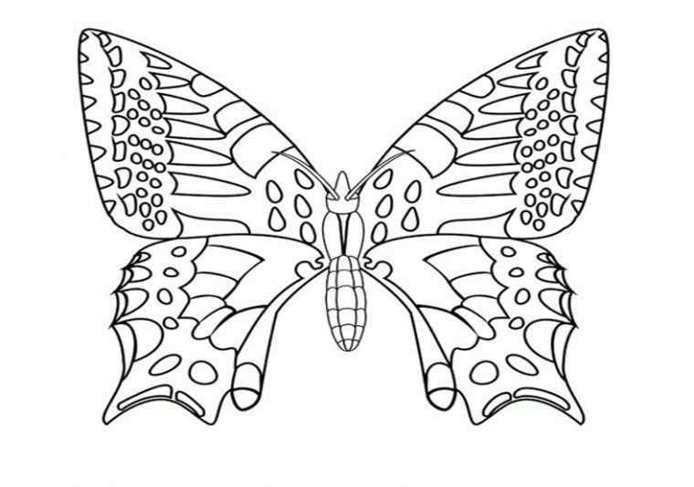 110 Dessins De Coloriage Papillon À Imprimer Sur Laguerche pour Image Papillon À Colorier