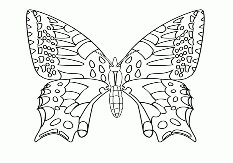 110 Dessins De Coloriage Papillon À Imprimer Sur Laguerche pour Image Papillon À Colorier 