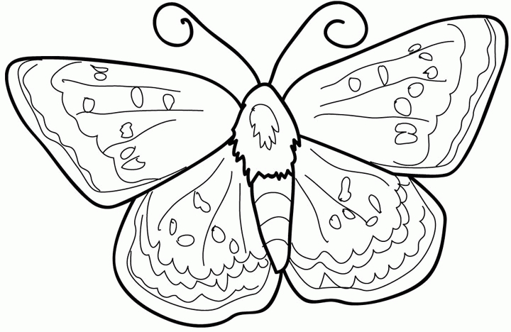 110 Dessins De Coloriage Papillon À Imprimer Sur Laguerche serapportantà Coloriage De Papillon Sur Une Fleur 