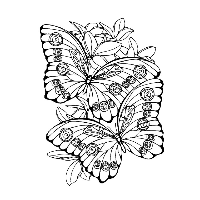 110 Dessins De Coloriage Papillon À Imprimer Sur Laguerche serapportantà Coloriage Papillon À Imprimer Gratuit