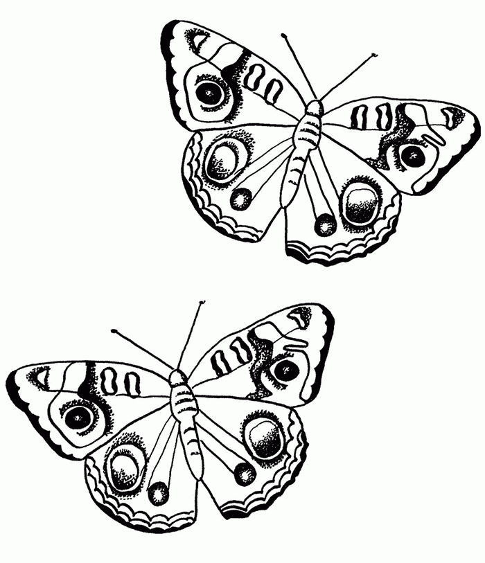 110 Dessins De Coloriage Papillon À Imprimer Sur Laguerche serapportantà Papillon En Coloriage 