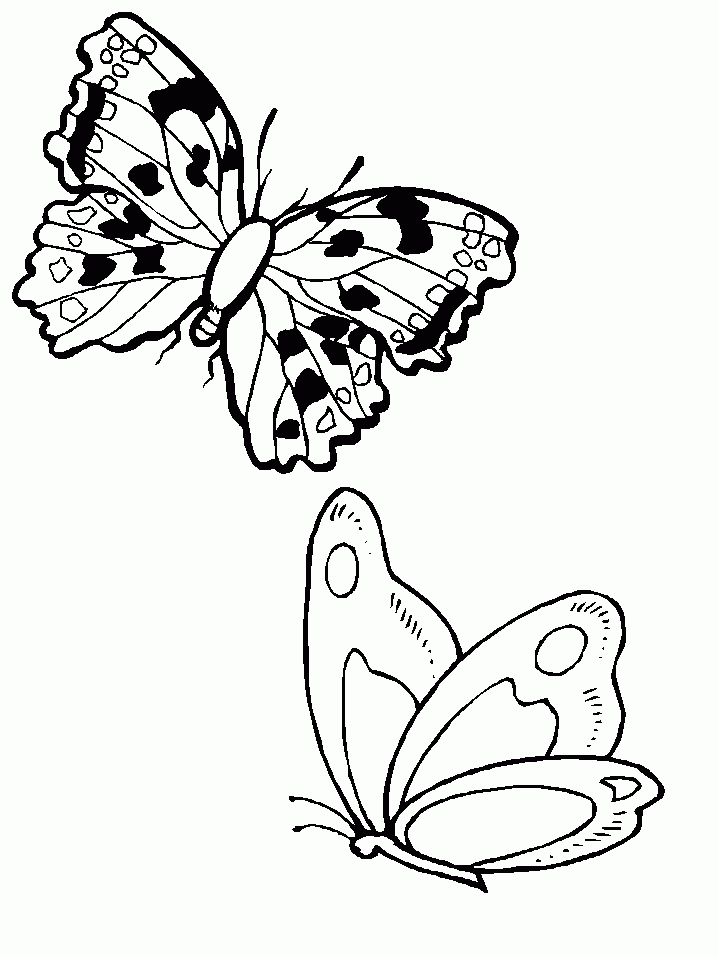 110 Dessins De Coloriage Papillon À Imprimer Sur Laguerche tout Coloriage Papillon À Imprimer Gratuit