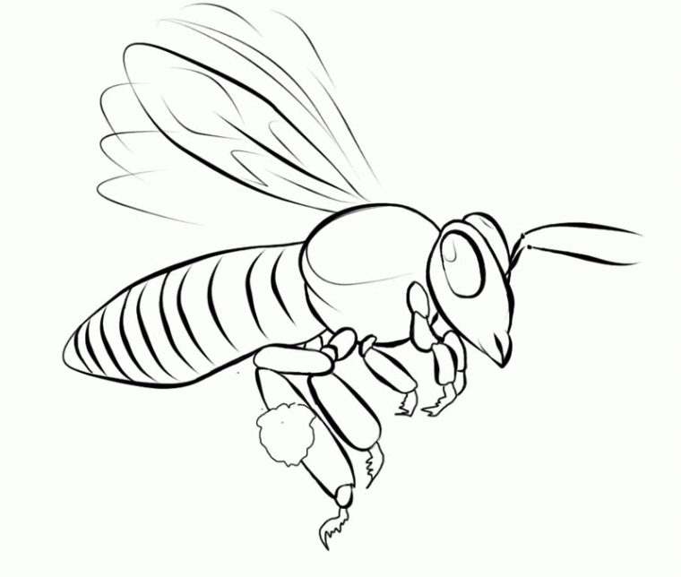 115 Dessins De Coloriage Abeille À Imprimer Sur Laguerche tout Abeille Coloriage