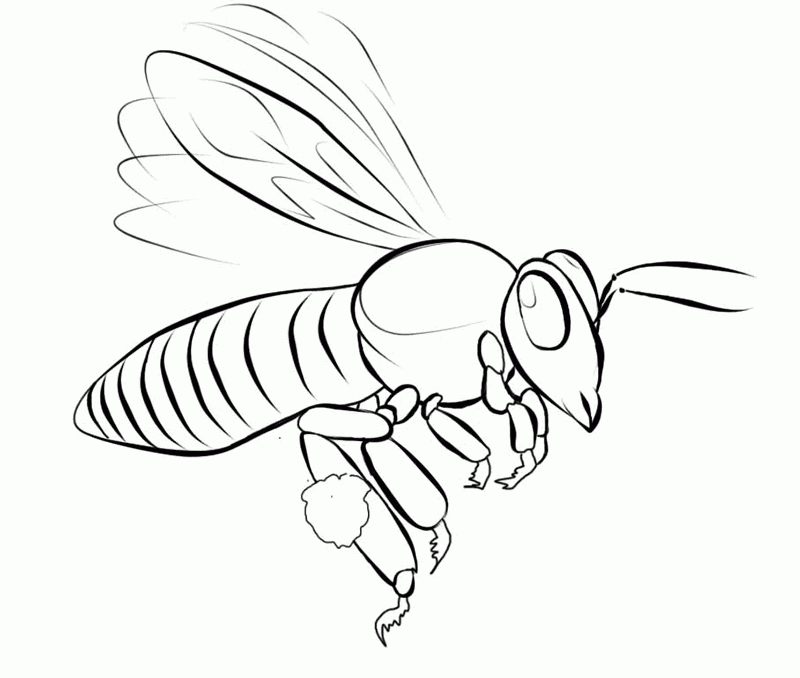 115 Dessins De Coloriage Abeille À Imprimer Sur Laguerche tout Abeille Coloriage 