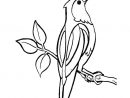 119 Dessins De Coloriage Oiseau À Imprimer Sur Laguerche avec Dessin Oiseau Simple