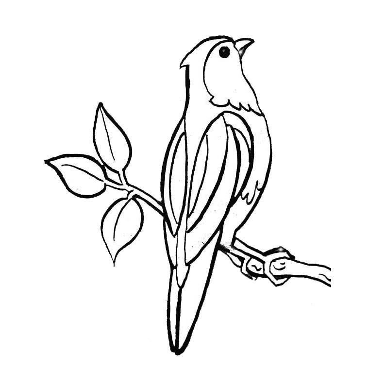 119 Dessins De Coloriage Oiseau À Imprimer Sur Laguerche avec Dessin Oiseau Simple 