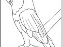 119 Dessins De Coloriage Oiseau À Imprimer Sur Laguerche concernant Oiseaux Dessin