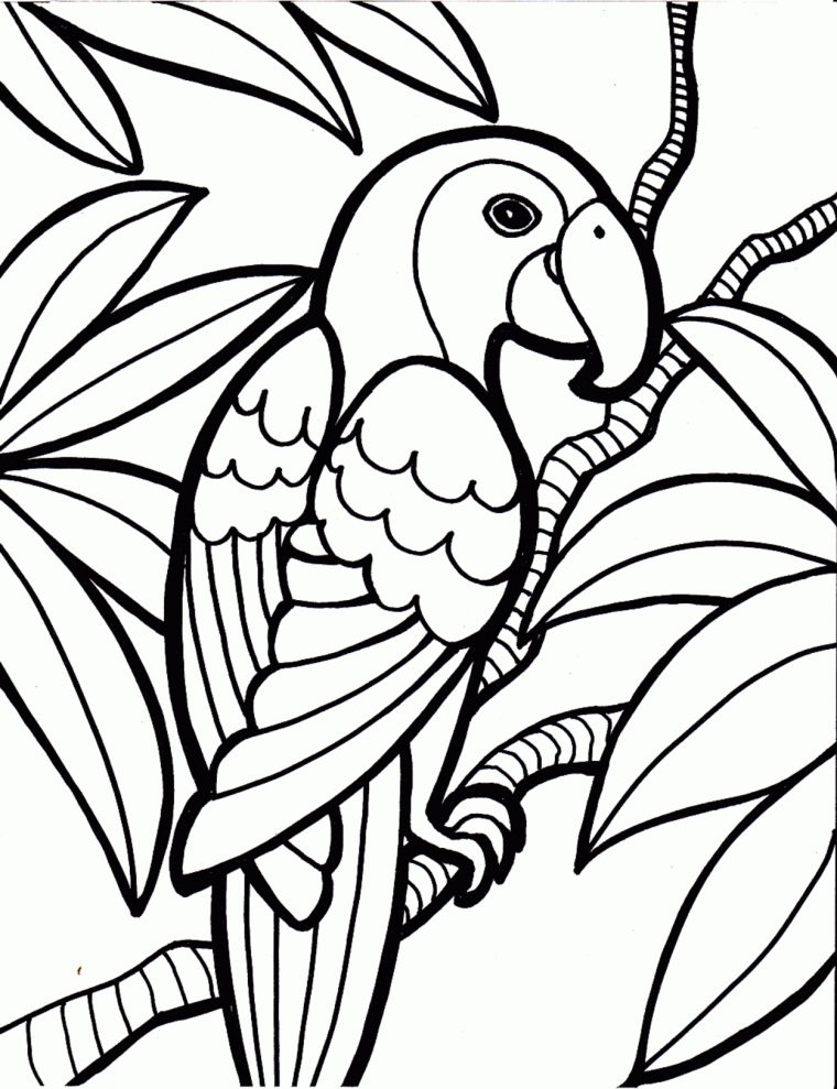 119 Dessins De Coloriage Oiseau À Imprimer Sur Laguerche dedans Dessin À Colorier