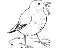 119 Dessins De Coloriage Oiseau À Imprimer Sur Laguerche dedans Dessin Oiseau Simple