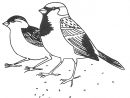119 Dessins De Coloriage Oiseau À Imprimer Sur Laguerche tout Oiseaux Dessin