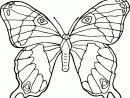 119 Dessins De Coloriage Papillon À Imprimer dedans Papillon Dessin A Colorier