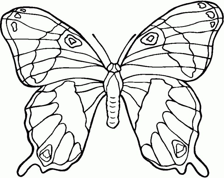 119 Dessins De Coloriage Papillon À Imprimer dedans Papillon Dessin A Colorier