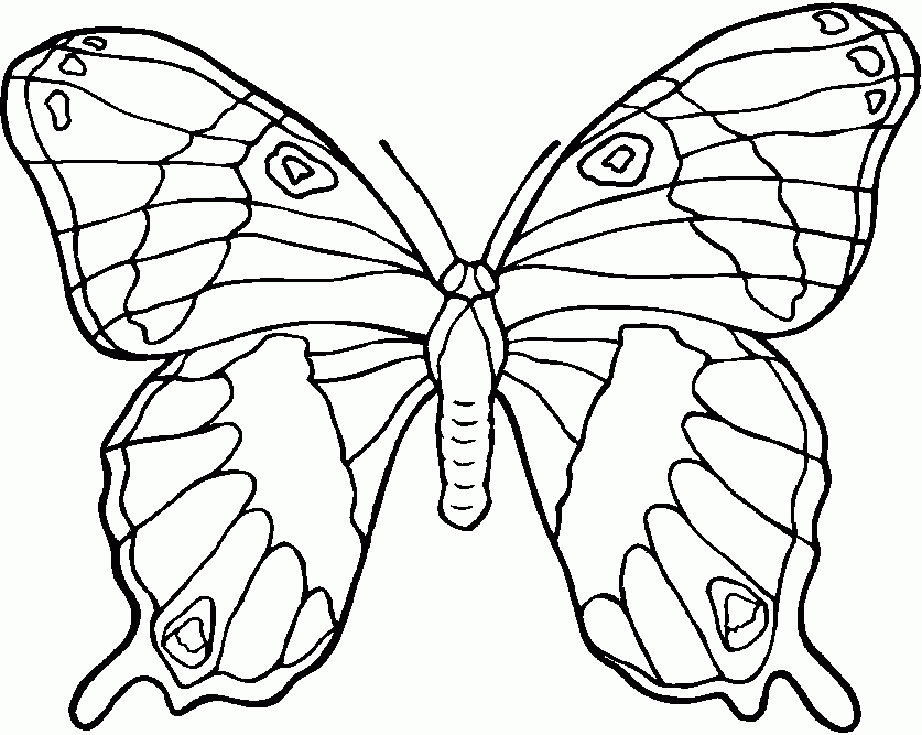 119 Dessins De Coloriage Papillon À Imprimer dedans Papillon Dessin A Colorier 