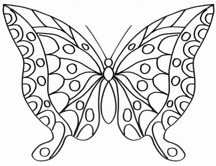 119 Dessins De Coloriage Papillon À Imprimer intérieur Papillon Dessin A Colorier