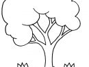12 Beau De Dessin Arbre Simple Photos  Tree Coloring Page dedans Dessiner Le Printemps