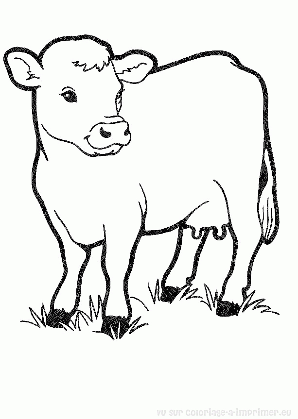 120 Dessins De Coloriage Vache À Imprimer avec Vache A Imprimer