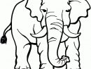 122 Dessins De Coloriage Éléphant À Imprimer avec Image Éléphant À Colorier