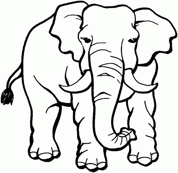 122 Dessins De Coloriage Éléphant À Imprimer avec Image Éléphant À Colorier