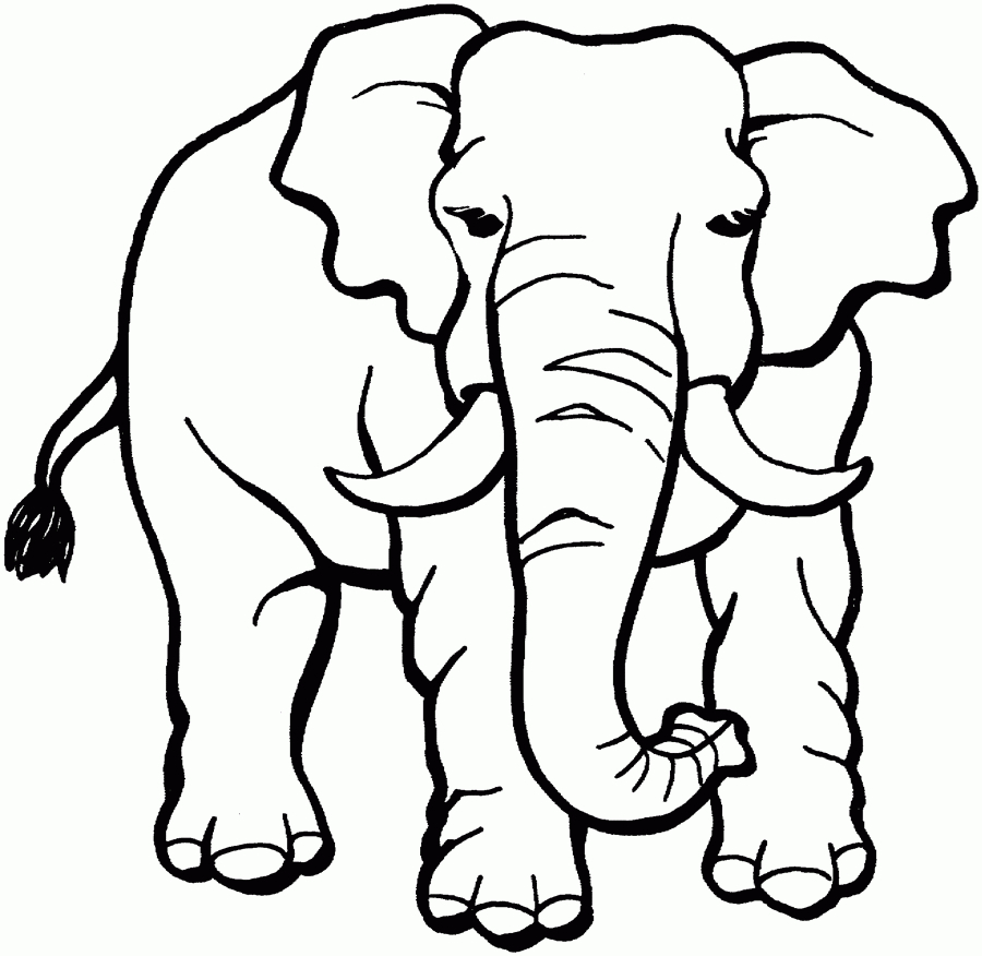 122 Dessins De Coloriage Éléphant À Imprimer avec Image Éléphant À Colorier 