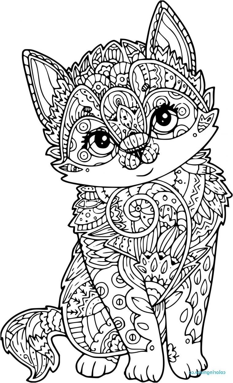 13 Authentique Coloriage À Imprimer Papillon Collection destiné Coloriage De Chat Mignon A Imprimer