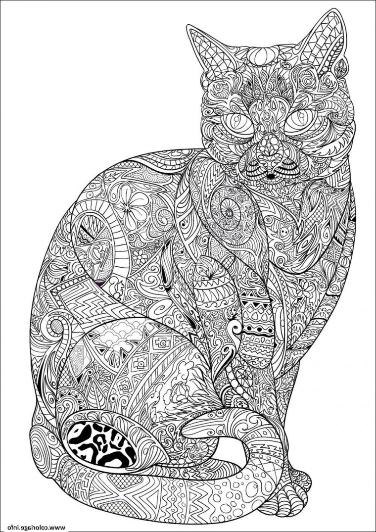 13 Cool De Dessin Difficile A Colorier Image – Coloriage avec Chat À Colorier