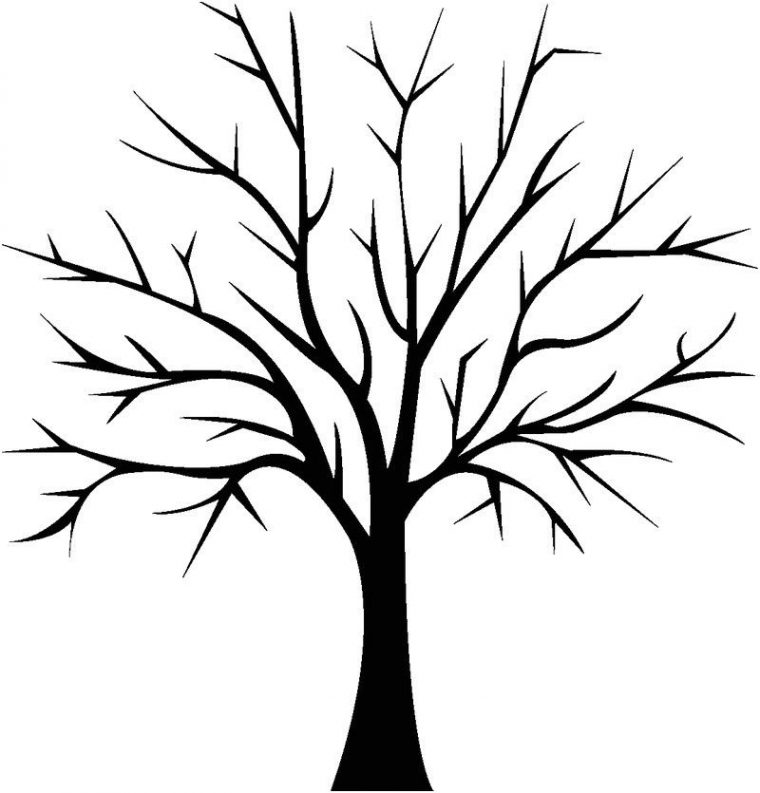 13 Joyeux Coloriage Arbre Sans Feuille Photos  Coloriage destiné Feuille A Dessiner