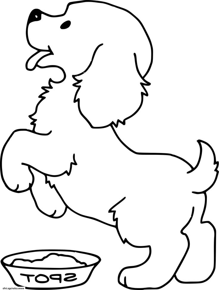 14 Élégant De Dessin A Colorier Chien Galerie  Puppy pour Dessin De Chien A Imprimer 