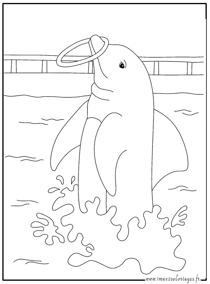 146 Dessins De Coloriage Dauphin À Imprimer Sur Laguerche à Coloriage Dauphin 