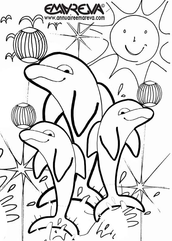 146 Dessins De Coloriage Dauphin À Imprimer Sur Laguerche dedans Coloriage De Dauphin À Imprimer Gratuit 