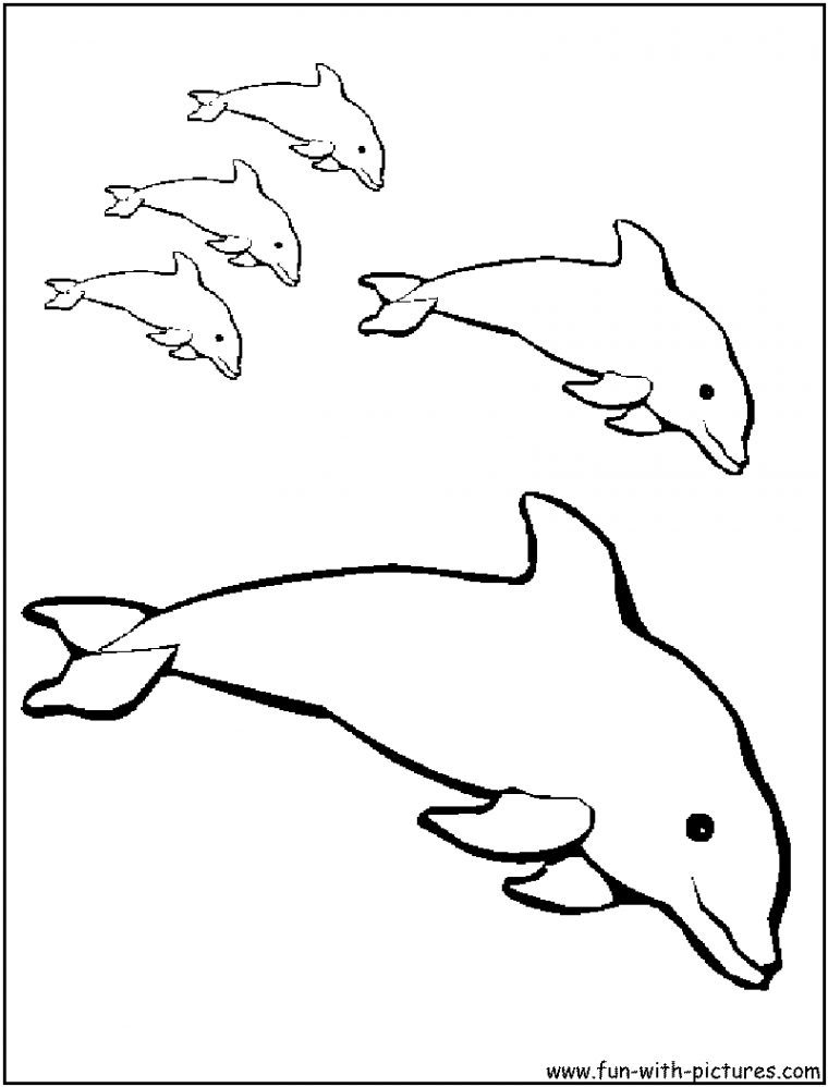 146 Dessins De Coloriage Dauphin À Imprimer Sur Laguerche tout Dessin Dauphins