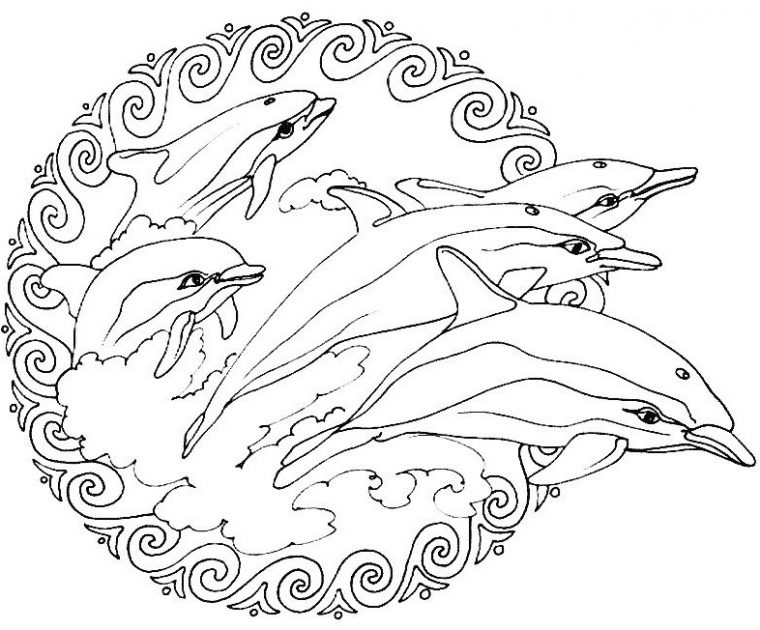 15 Dessins De Coloriage Dauphin Mandala À Imprimer tout Coloriage De Dauphin À Imprimer Gratuit