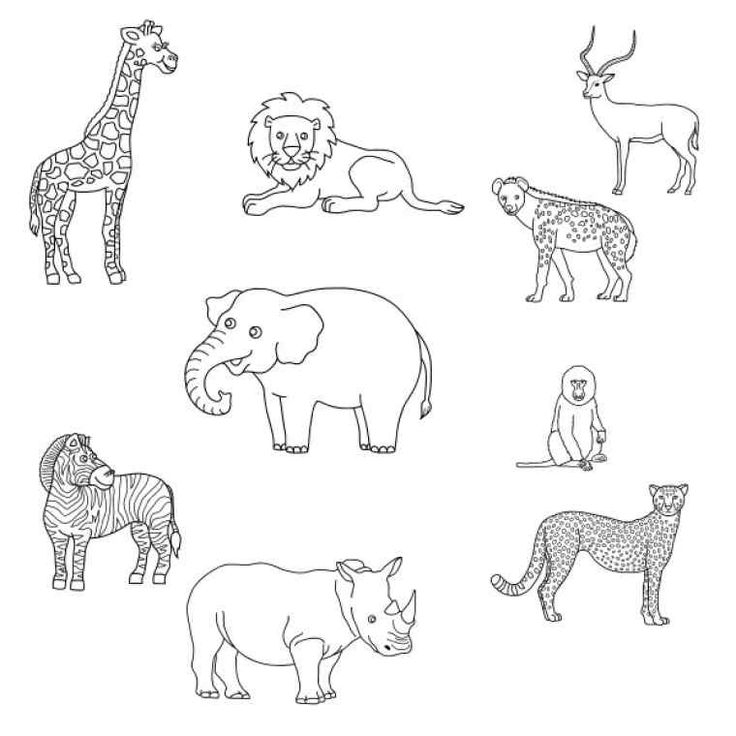 15 Incroyable Jolie Coloriage D Animaux Photos  Coloriage intérieur Coloriage Savane Africaine