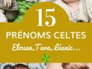 15 Prénoms Celtes Qui Font Rêver  Prénom Celte, Prénoms tout Mon Prenom Com