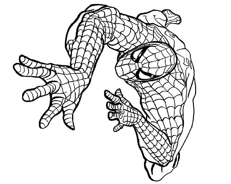 167 Dessins De Coloriage Spiderman À Imprimer Sur dedans Dessin A Imprimer Spiderman 