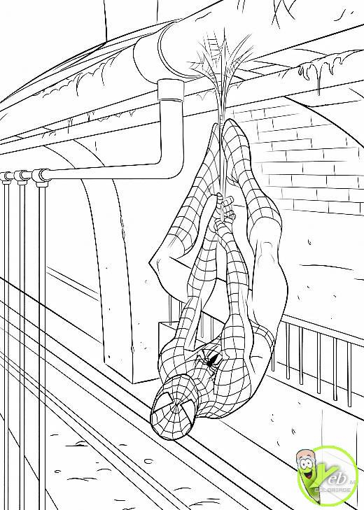 167 Dessins De Coloriage Spiderman À Imprimer Sur dedans Le Dessin Animé De Spiderman 