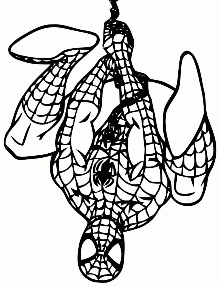 167 Dessins De Coloriage Spiderman À Imprimer Sur destiné Coloriage Spiderman