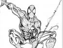 167 Dessins De Coloriage Spiderman À Imprimer Sur encequiconcerne Spiderman A Colorier