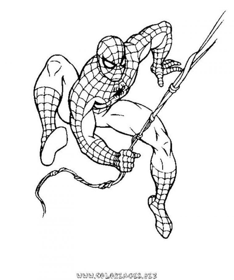 167 Dessins De Coloriage Spiderman À Imprimer Sur serapportantà Coloriage Spiderman À Imprimer Gratuit