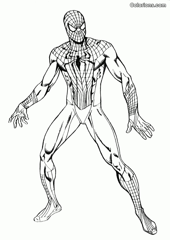 167 Dessins De Coloriage Spiderman À Imprimer Sur tout Coloriage Spiderman À Imprimer Gratuit 