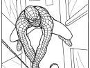 167 Dessins De Coloriage Spiderman À Imprimer Sur tout Spiderman Coloriage À Imprimer