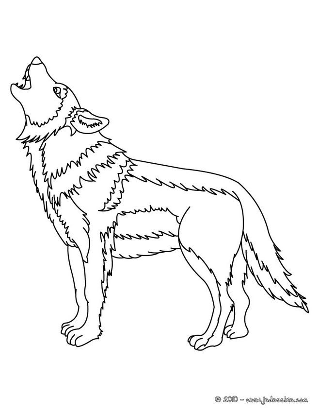 19 Dessins De Coloriage Loup Gratuit À Imprimer concernant Image Loup À Colorier 