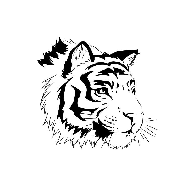 19 Dessins De Coloriage Tigre Blanc À Imprimer serapportantà Coloriage Tigre