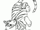 19 Dessins De Coloriage Tigre Cirque À Imprimer concernant Dessin De Cirque À Imprimer