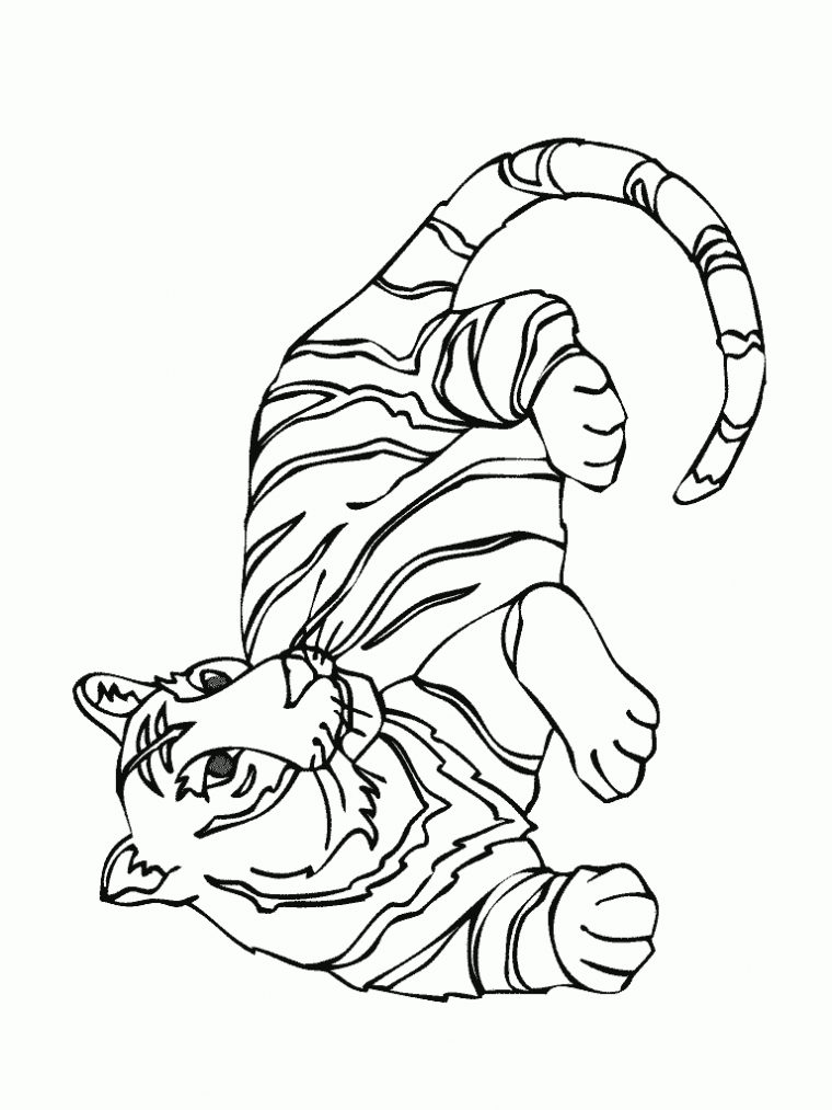 19 Dessins De Coloriage Tigre Cirque À Imprimer concernant Dessin De Cirque À Imprimer